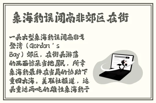 双人剧烈摇床运动
